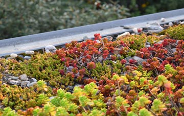 the cost of Huntercombe End green roof installation