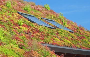 Huntercombe End living roof systems