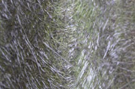 Huntercombe End fibreglass roof work